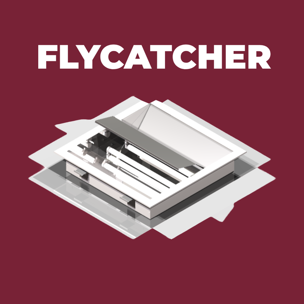 FLYCATCHER Projektansicht
